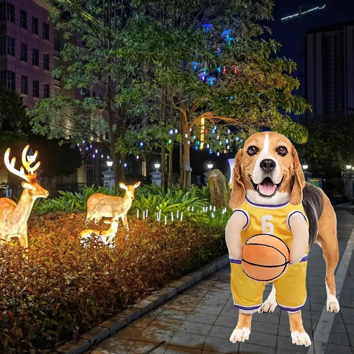 Pet Costumes Dog Basketball Player Costume