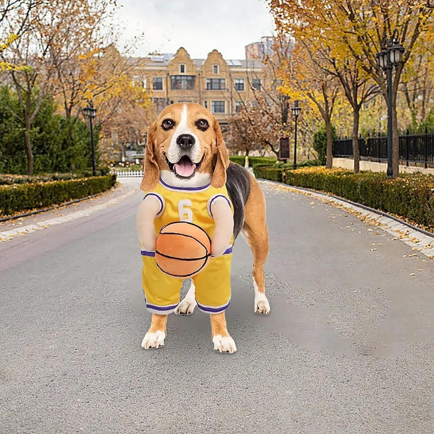 Pet Costumes Dog Basketball Player Costume