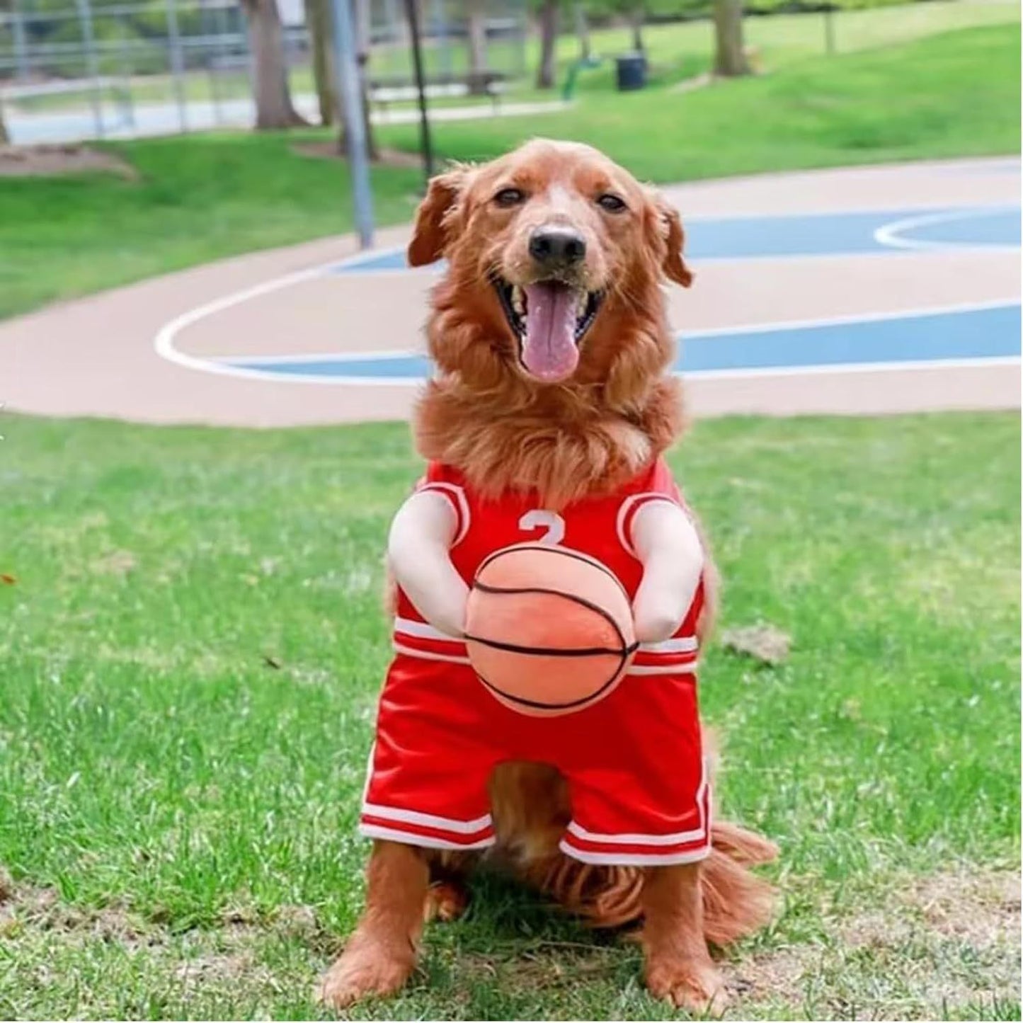 Pet Costumes Dog Basketball Player Costume