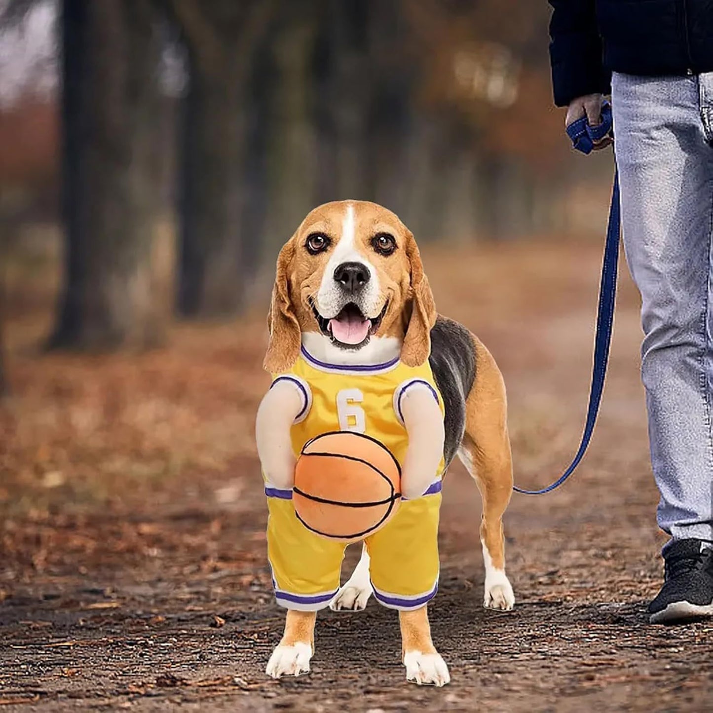 Pet Costumes Dog Basketball Player Costume
