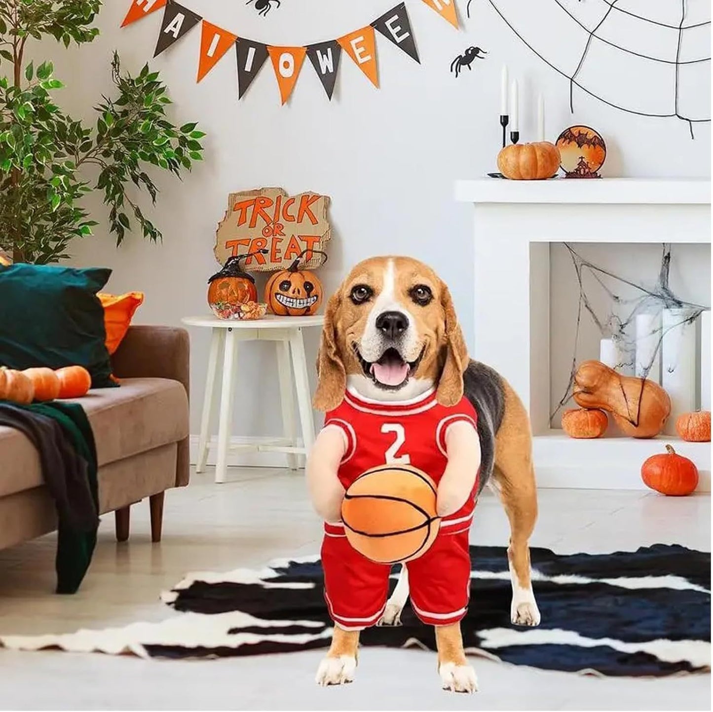 Pet Costumes Dog Basketball Player Costume