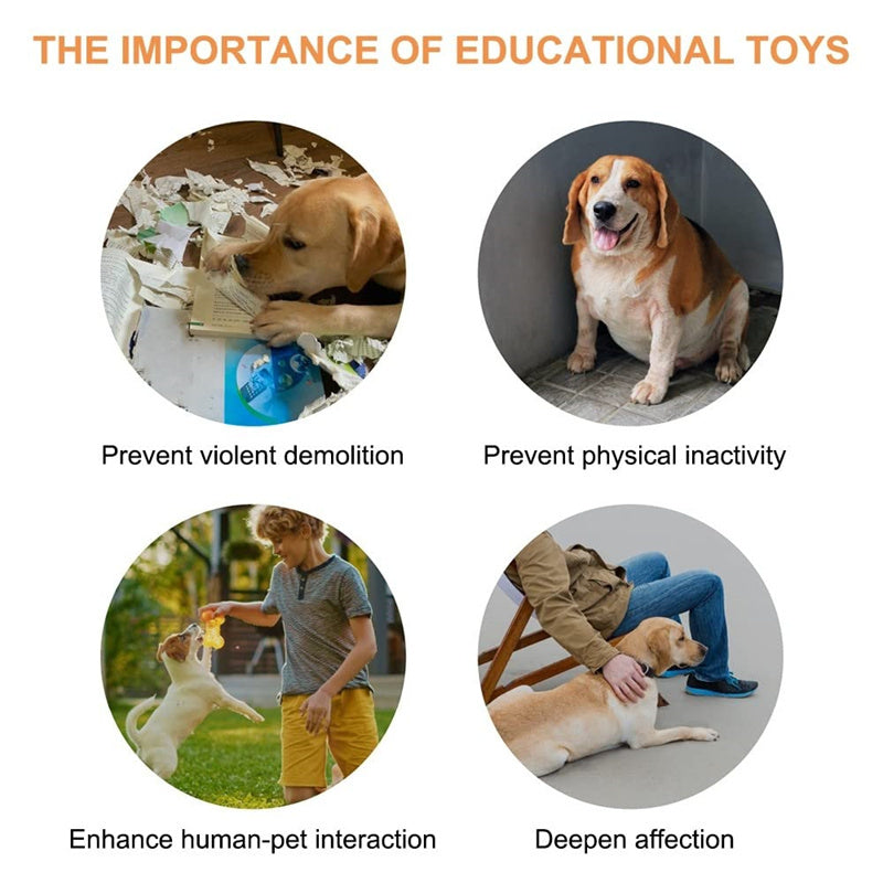 4 Colors Pet Communication Button One-click Prevent Physical Inactivity Recordable Dog Talking Button