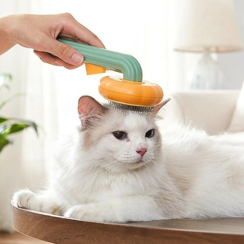 Pet cleaning