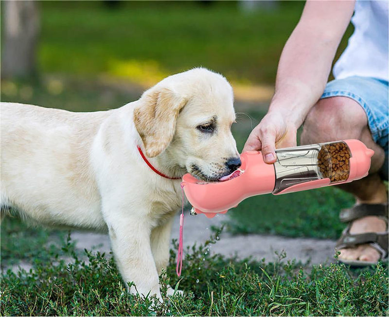 Feeders and Bowls