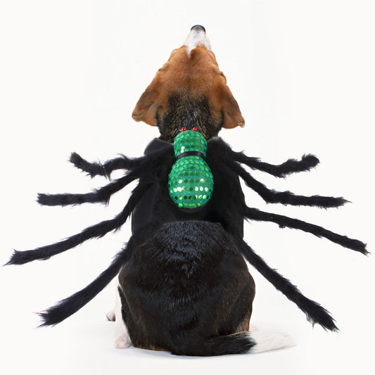 Pet Sequined Spider Chest And Back Halloween