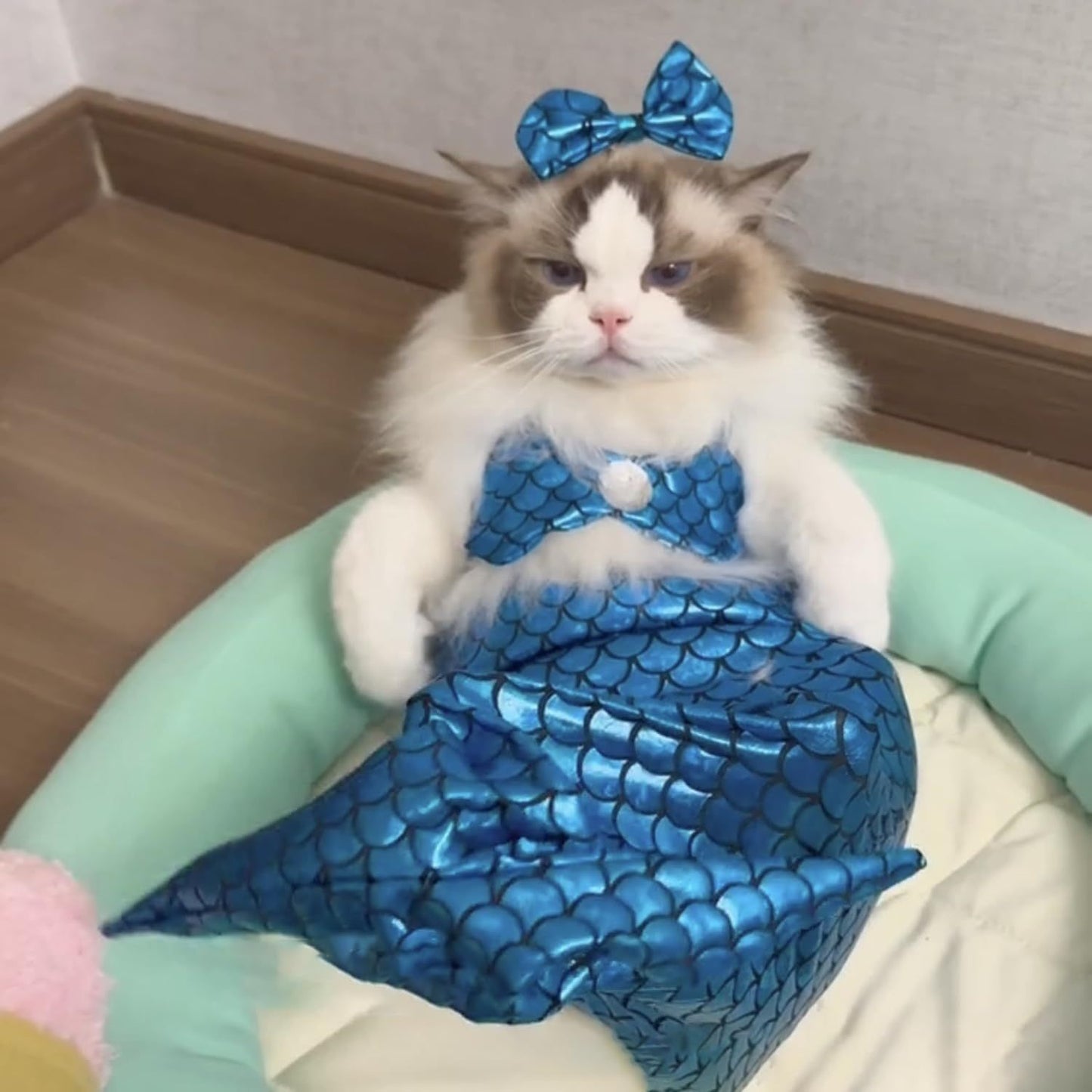 Cat Mermaid Costume Creative Cat And Dog Costumes.