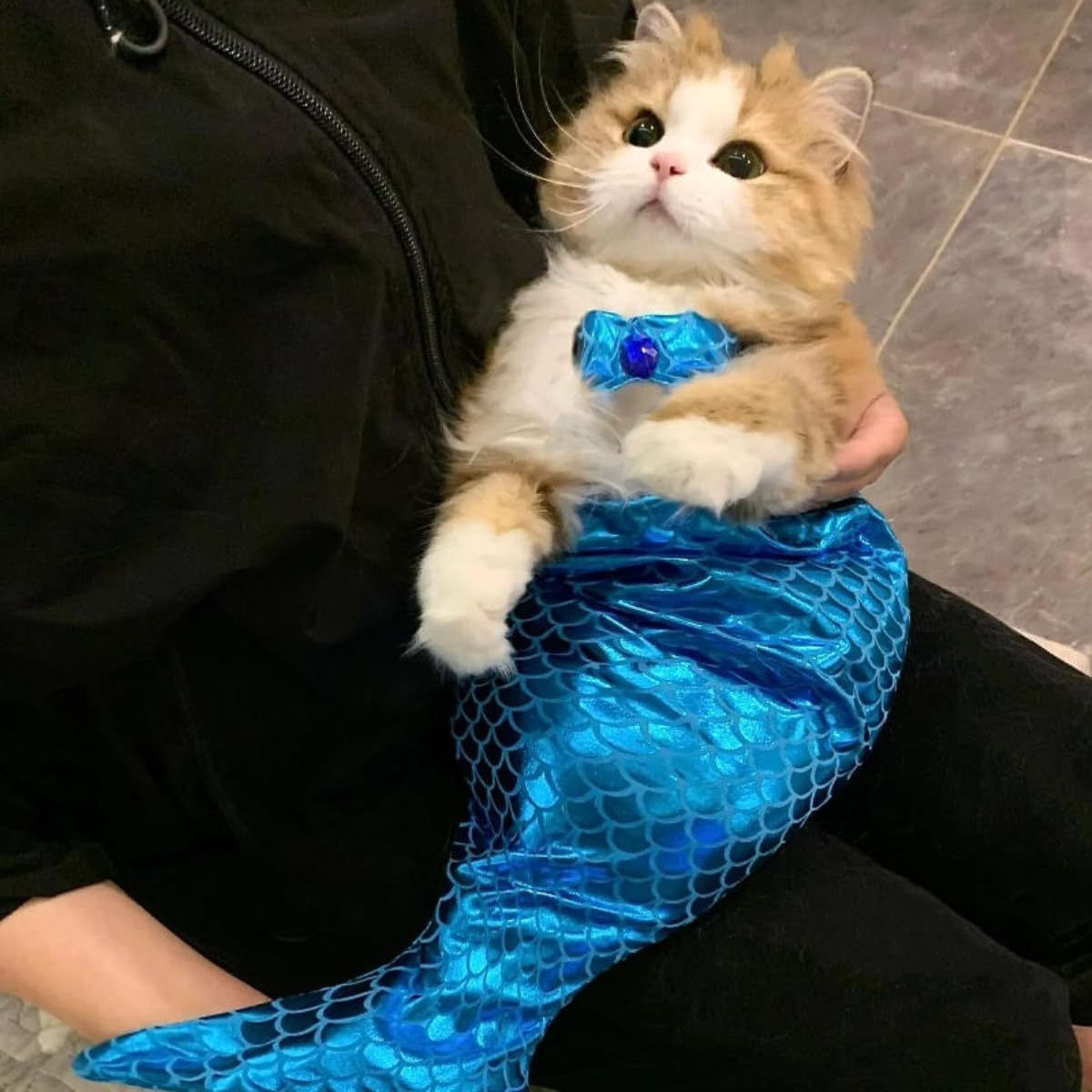 Cat Mermaid Costume Creative Cat And Dog Costumes.