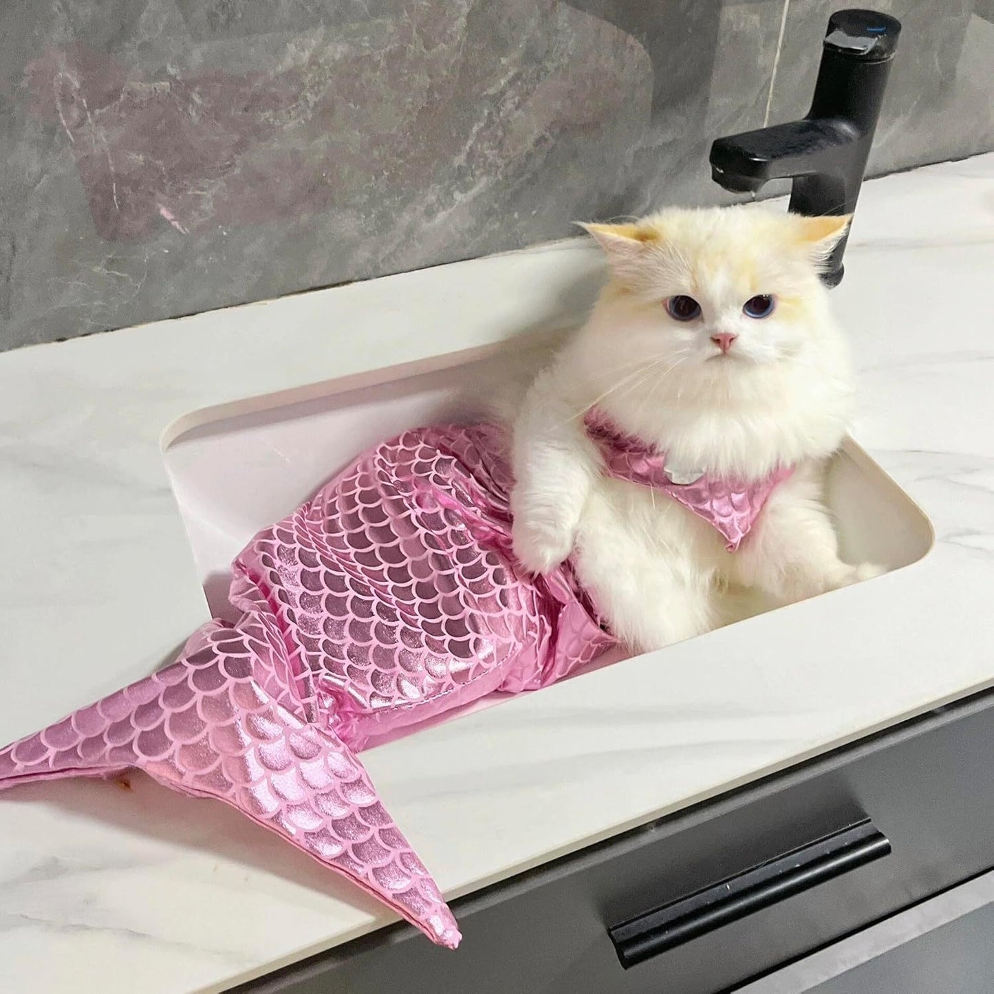 Cat Mermaid Costume Creative Cat And Dog Costumes.