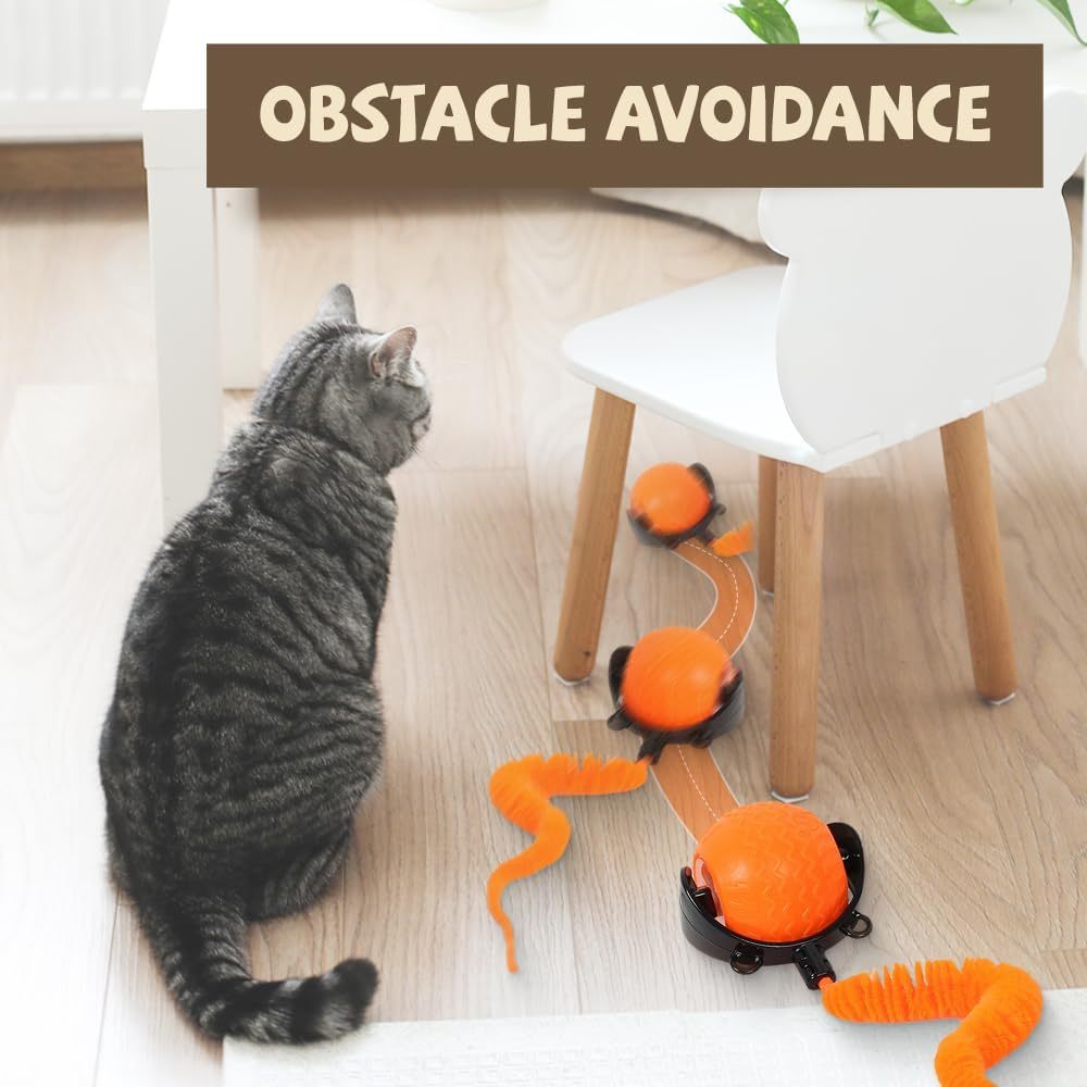 Interactive Ball Toy, 2025 New Ball Toys With Cord ,Mouse, Smart Self Rolling, Automatic Moving Peppy Pet Ball