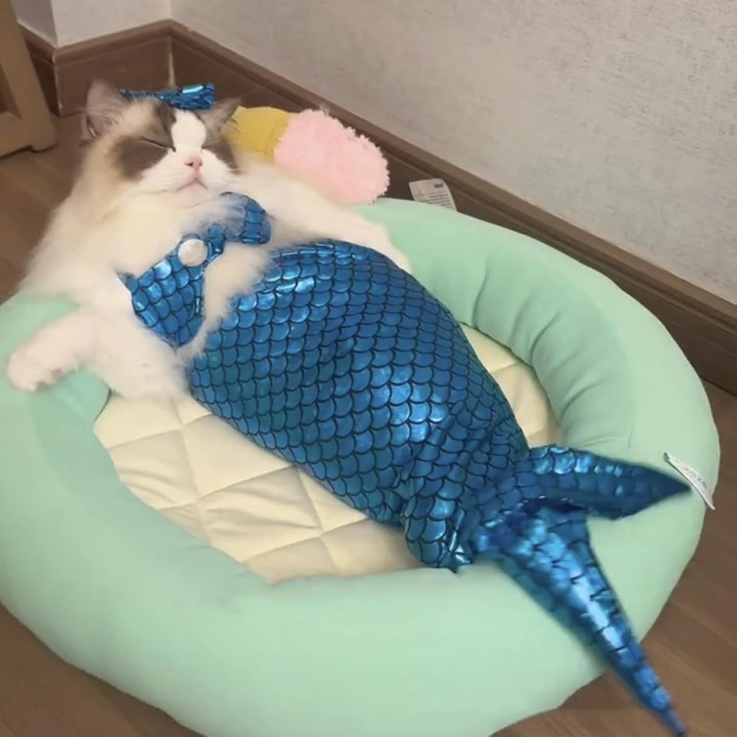 Cat Mermaid Costume Creative Cat And Dog Costumes.