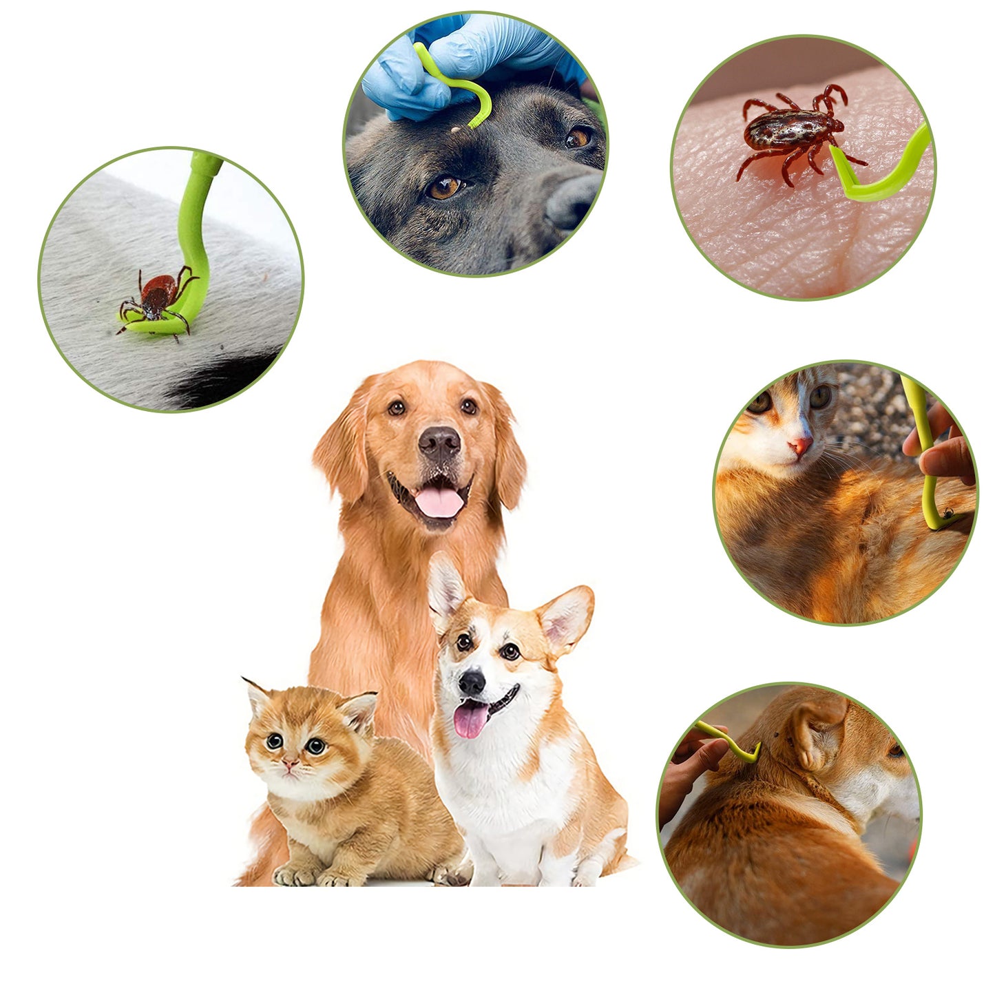 Tick Remover Tool For Dogs - Painlessly Tick Remover For Humans And Cats Pets, 3 Pcs
