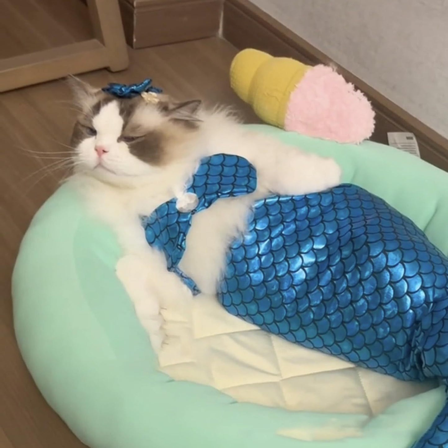 Cat Mermaid Costume Creative Cat And Dog Costumes.
